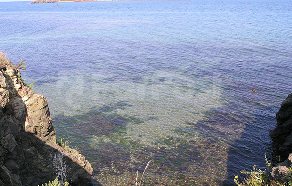 primkupon255_0007_8.jpg